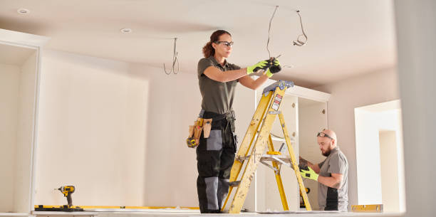 Best Generator Installation Services  in Round Lake Heights, IL