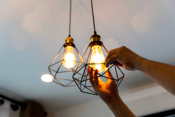 Best Licensed Electrician  in Round Lake Heights, IL