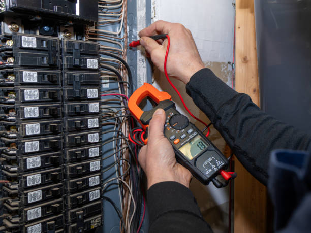 Best Electrical Troubleshooting Services  in Round Lake Heights, IL
