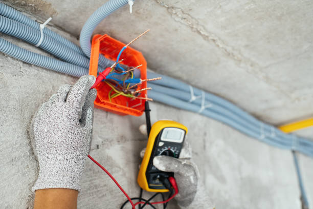 Best Outdoor Lighting Installation  in Round Lake Heights, IL
