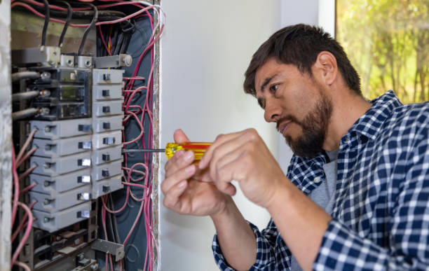 Best Electrical Repair Services  in Round Lake Heights, IL